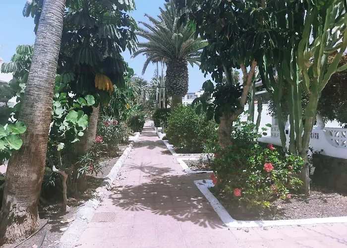 Parque Santiago 2 En Playa De Americas