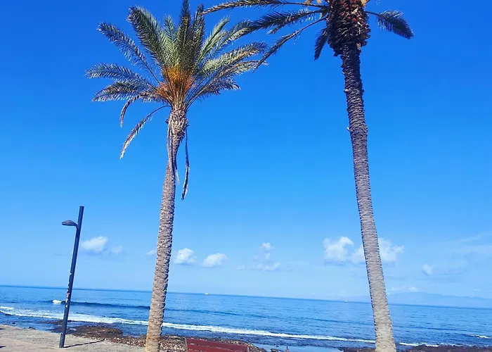 Parque Santiago 2 En Playa De Americas Lejlighed Arona (Tenerife)